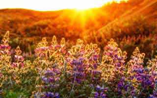 真正离谱的是后面：91大事件后劲重得有点离谱，冷门分区里那段内容像在提醒还有下一层